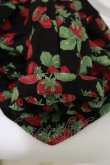 画像5: Jane Marple / Strawberry gardenブラウス  ブラック H-25-07-10-022-JM-BL-KB-ZH (5)