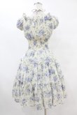 画像2: Millefleurs / ダブルボイル薔薇プリントワンピース  アイボリー H-25-07-12-1036-EL-OP-KB-ZH (2)