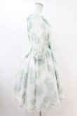 画像3: Angelic Pretty / Elegant Floraワンピース Free シロ/ミント H-25-07-13-1034-AP-OP-NS-ZH (3)