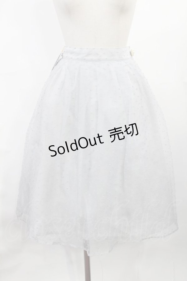 画像1: an another angelus / ドットオーガンジータックスカート Free BLUE GRAY H-25-07-14-1018-CA-SK-NS-ZH (1)