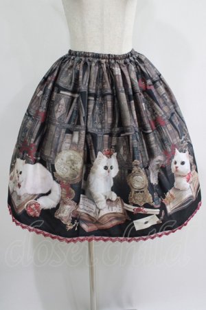 画像: Enchantlic Enchantilly / Queen Cat〜秘密の書斎〜スカート Free ブラック H-25-07-14-023-LO-SK-NS-ZH