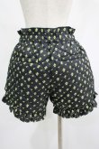 画像3: Candy Stripper / TINY ROSE QUILTING SHORTS 2 ブラック H-25-07-16-043-PU-PA-KB-ZH (3)