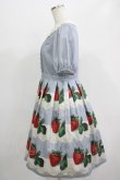 画像2: Leur Getter / Antique Lace Strawberry袖付きワンピース M サックス H-25-07-16-017-LU-OP-KB-ZH (2)