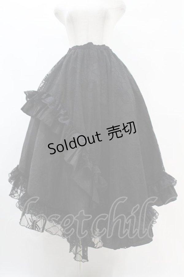 画像1: Qutie Frash / 蜘蛛メッシュロングスカート  ブラック H-25-07-22-1027-QU-SK-KB-ZH (1)