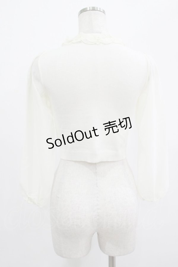 画像3: JESUS DIAMANTE / シフォン袖ニットカーデ Free オフ H-25-07-25-051-JE-TO-NS-ZH (3)