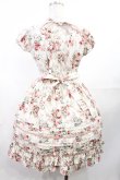 画像3: Victorian maiden / ロココブーケワンピース Free ロココピンク H-25-07-29-1003-CL-OP-NS-ZH (3)