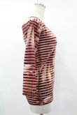 画像3: Jean Paul GAULTIER / ボーダー切替ガーゴイルパワーネットカットソー S 茶 H-25-07-31-1020-GO-TO-KB-ZH (3)