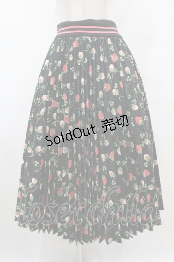画像1: Jane Marple / Fortune Garden Flare Pleats Skirt M ブラック H-25-07-31-1025-JM-SK-KB-ZH (1)