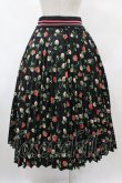 画像2: Jane Marple / Fortune Garden Flare Pleats Skirt M ブラック H-25-07-31-1025-JM-SK-KB-ZH (2)