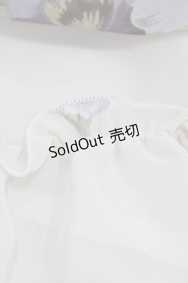 画像6: Innocent World / アンティークパンジーシフォンドレス M 生成り H-25-08-01-1044-IW-OP-NS-ZH (6)