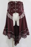 ozz angelo コルセットベルト OZZON JAPAN / Garden of Fallen Angel コルセットベルト