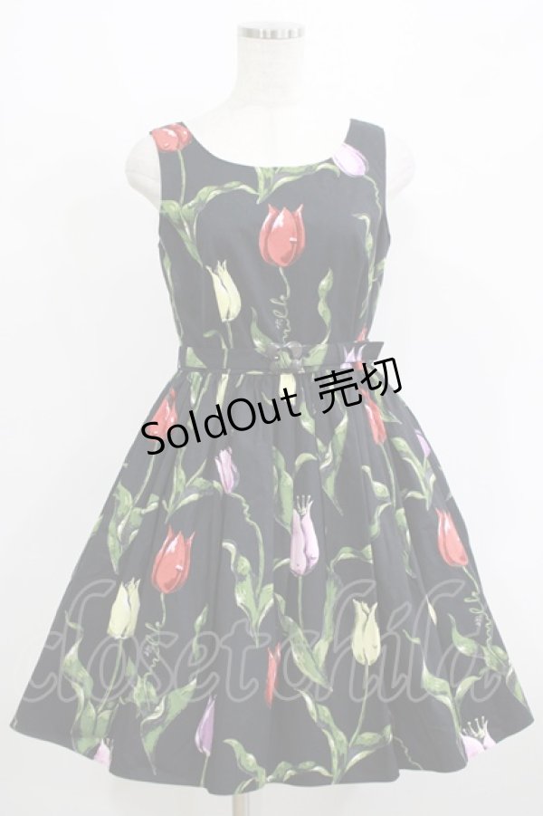 画像1: MILK / チューリーロマンスドレス  ブラックカラフル H-25-12-15-1036-ML-OP-KB-ZH (1)