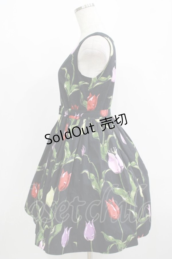 画像2: MILK / チューリーロマンスドレス  ブラックカラフル H-25-12-15-1036-ML-OP-KB-ZH (2)