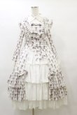 画像1: ATELIER PIERROT / Rosy Bouquet Dress size1 ライトグレー H-25-08-05-073-EL-OP-KB-ZH (1)