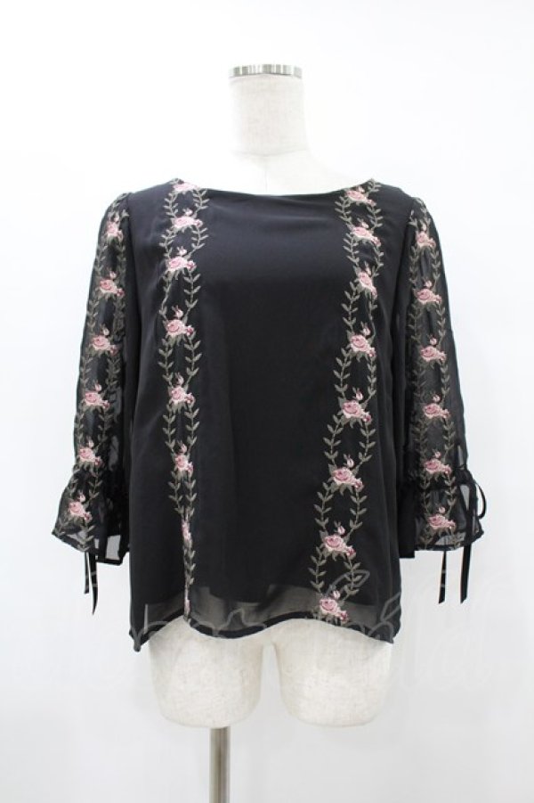 画像1: an another angelus / 壁紙ローズ刺繍プルオーバーブラウス Free BLACK H-25-08-14-1028-CA-BL-NS-ZH (1)