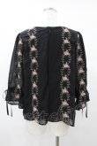 画像2: an another angelus / 壁紙ローズ刺繍プルオーバーブラウス Free BLACK H-25-08-14-1028-CA-BL-NS-ZH (2)