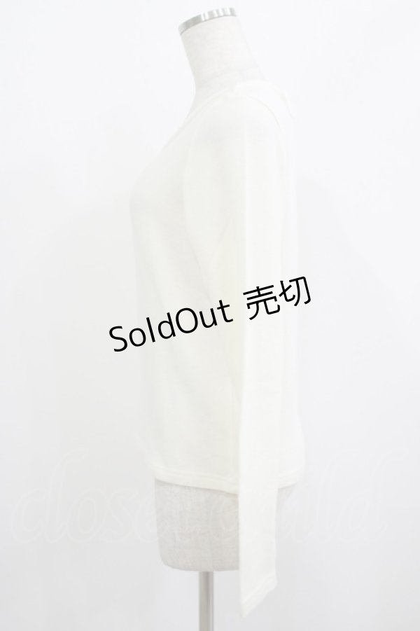 画像2: LIZ LISA / チュール切替ニット Free 白 H-25-08-20-022-LO-TO-NS-ZH (2)