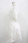 画像2: Swankiss / TS Lacy Fleur O/P Free オフ H-25-08-21-040-CA-OP-NS-ZH (2)