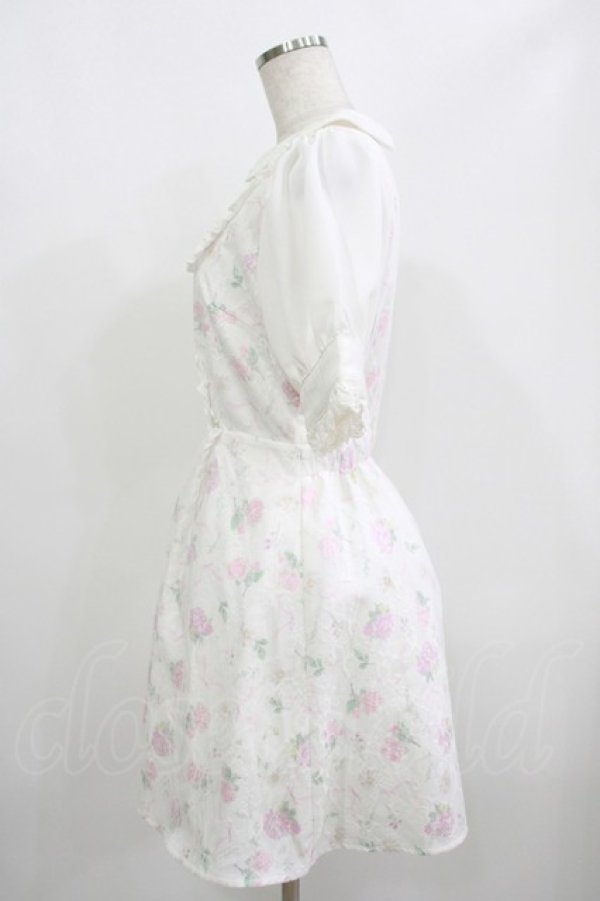 画像2: Swankiss / TS Lacy Fleur O/P Free オフ H-25-08-21-040-CA-OP-NS-ZH (2)