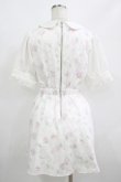 画像3: Swankiss / TS Lacy Fleur O/P Free オフ H-25-08-21-040-CA-OP-NS-ZH (3)