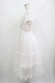画像2: mellfy memory / Fairy tale rose tulle veill ワンピース S オフ H-25-08-24-040-LO-OP-NS-ZH (2)