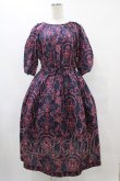 画像1: Jane Marple Dans Le Salon / Marie Antoinette drawstring sleeve dress Free ネイビー H-25-08-24-1032-JM-OP-KB-ZH (1)