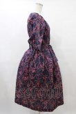 画像3: Jane Marple Dans Le Salon / Marie Antoinette drawstring sleeve dress Free ネイビー H-25-08-24-1032-JM-OP-KB-ZH (3)