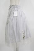 画像2: F&A / デイジー刺繍チュールスカート Free L/GRAY H-25-08-29-1026-LO-SK-NS-ZH (2)