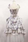 画像4: Victorian maiden / ロココブーケロングサンドレス Free ロココグレージュ H-25-08-29-001-CL-OP-NS-ZH (4)