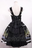画像2: metamorphose / スワンガーデンジャンパースカート Free ブラック H-25-09-01-1011-ME-OP-NS-ZH (2)