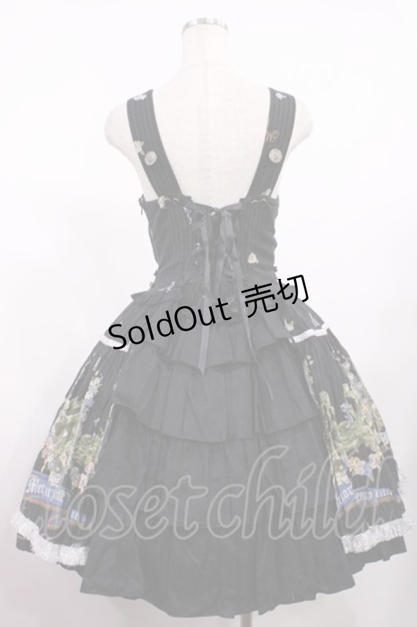画像2: metamorphose / スワンガーデンジャンパースカート Free ブラック H-25-09-01-1011-ME-OP-NS-ZH (2)