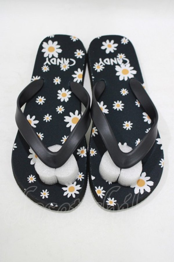 画像1: Candy Stripper / デイジービーチサンダル  ブラック H-25-09-01-069-PU-SH-KB-ZH (1)