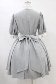 画像2: ATELIER PIERROT / Haunted Doll Dress  グレー×ホワイト H-25-09-02-1039-EL-OP-KB-ZH (2)