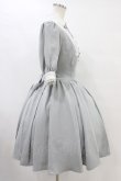 画像3: ATELIER PIERROT / Haunted Doll Dress  グレー×ホワイト H-25-09-02-1039-EL-OP-KB-ZH (3)