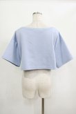 画像3: moulis' / クロップドロゴ刺繍Tシャツ LL サックス H-25-09-08-046-PU-TS-NS-ZH (3)