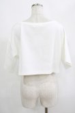 画像3: moulis' / クロップドロゴ刺繍Tシャツ LL オフ H-25-09-08-047-PU-TS-NS-ZH (3)