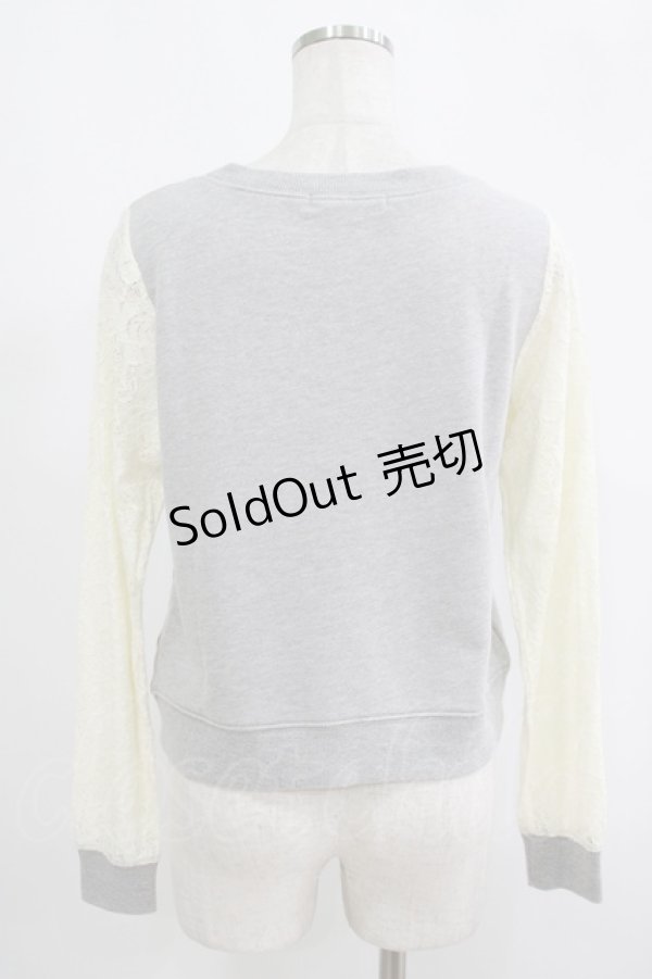 画像3: Fi.n.t / レース切替トレーナー Free グレー H-25-09-10-031-CA-TO-NS-ZH (3)