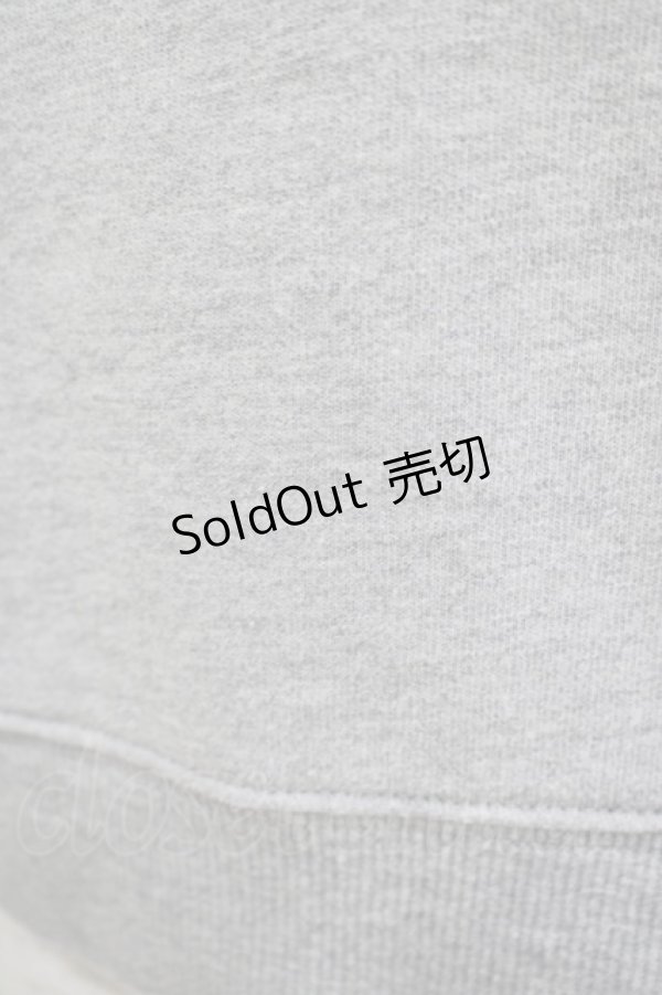 画像4: Fi.n.t / レース切替トレーナー Free グレー H-25-09-10-031-CA-TO-NS-ZH (4)