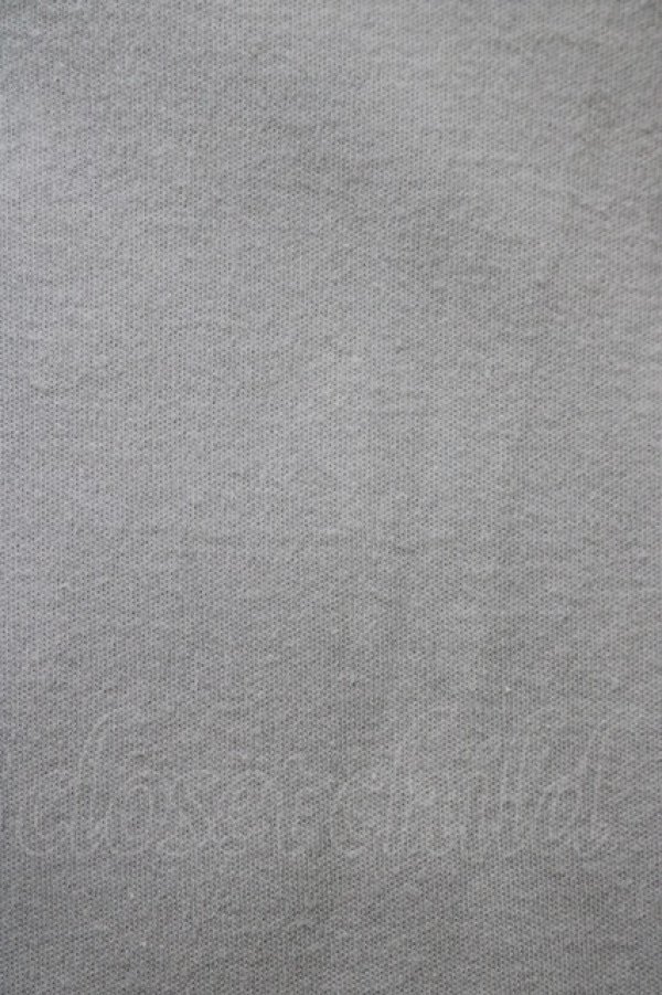 画像6: Angelic Pretty / Dreamy Dollカットワンピース Free グレー H-25-09-11-023-AP-OP-NS-ZH (6)