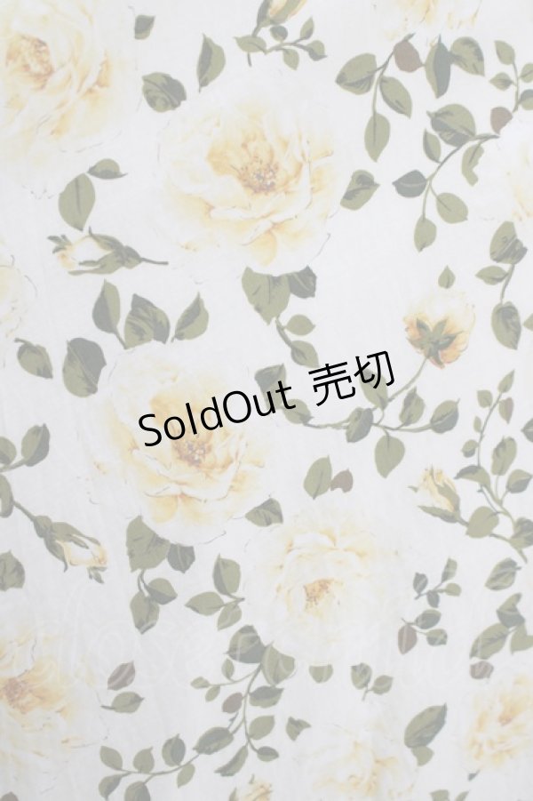 画像4: INGEBORG / エバンタイユドールpt.フレアースカート 3（9号） オフ H-25-09-11-026-LO-SK-NS-ZH (4)