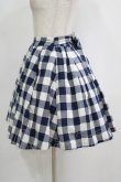 画像2: Ank Rouge / ブロックチェックスカート M ネイビー H-25-09-11-027-CA-SK-NS-ZH (2)