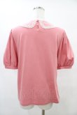 画像2: Jane Marple / チュールレースカラーパフィースリーブプルオーバー  ピンク H-25-09-11-1046-JM-TO-KB-ZT376 (2)