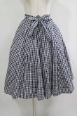 画像1: Jane Marple Dans Le Salon / Typewriter gingham gored skirt M ネイビー H-25-09-12-006-JM-SK-KB-ZH (1)