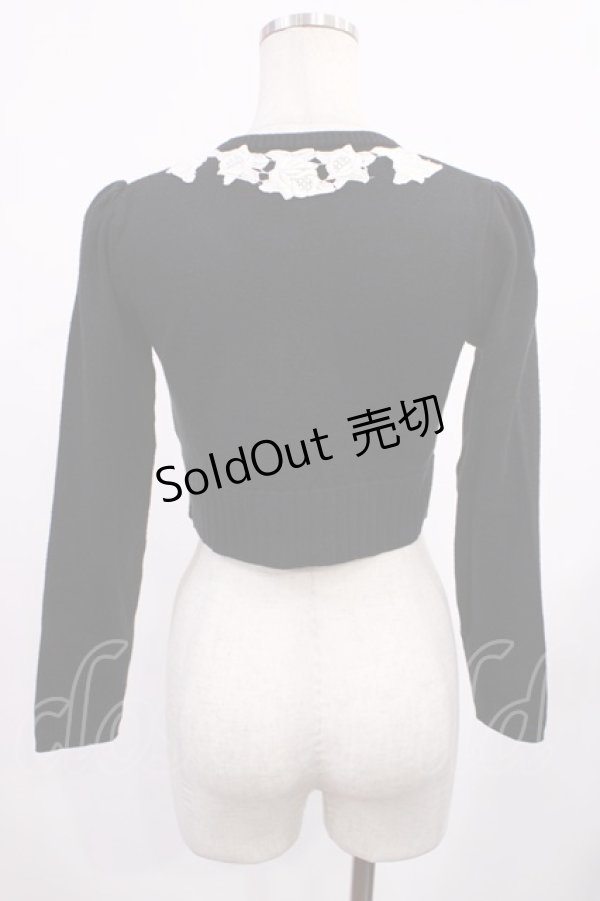 画像2: JESUS DIAMANTE / ローズレースニットカーデ Free ブラック H-25-09-12-1019-JE-TO-NS-ZH (2)