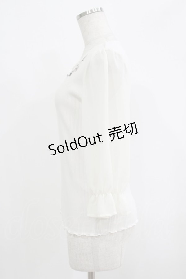 画像2: axes femme / シフォンスリーブ花刺繍カットソー M 生成 H-25-09-14-029-AX-TO-NS-ZH (2)