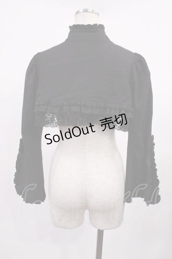 画像3: MARBLE / 姫袖用ショート丈モダンジャケット FREE ブラック H-25-09-14-1028-GO-JA-YZ-ZH (3)