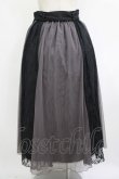 画像3: axes femme / レース×チュールスカート M ブラック/グレー H-25-09-18-024-AX-SK-NS-ZH (3)