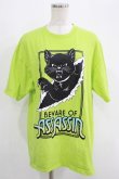 画像1: LISTEN FLAVOR / アサシンキャットビッグTシャツ  ライム H-25-09-19-043-PU-TO-KB-ZT490 (1)