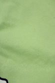 画像5: LISTEN FLAVOR / アサシンキャットビッグTシャツ  ライム H-25-09-19-043-PU-TO-KB-ZT490 (5)
