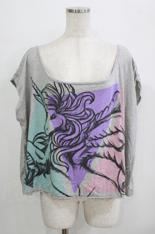 画像1: galaxxxy / ペガサスカットソー  グレー H-25-09-20-035-PU-TO-KB-ZT492 (1)